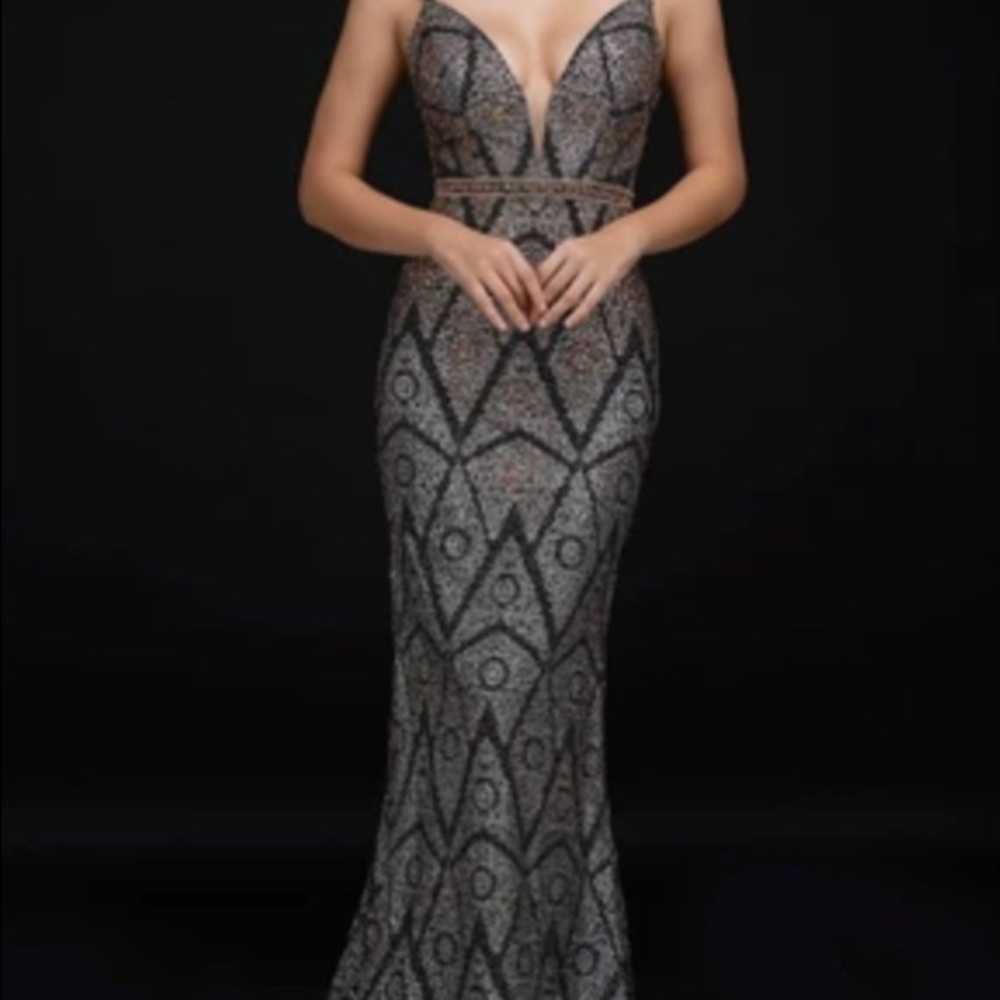 Nina Cannucci gown. Brand new with tags and never worn